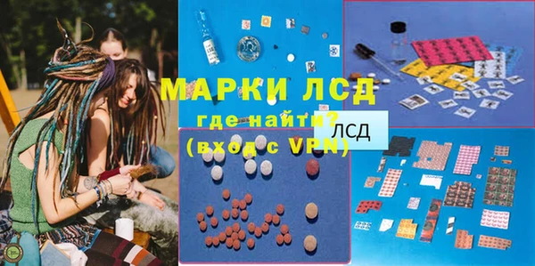 ALPHA PVP Беломорск