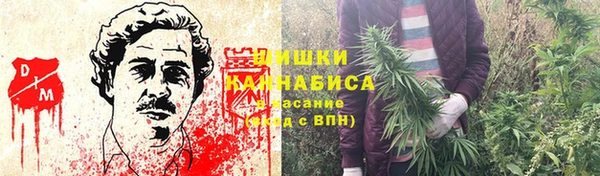 ALPHA PVP Беломорск