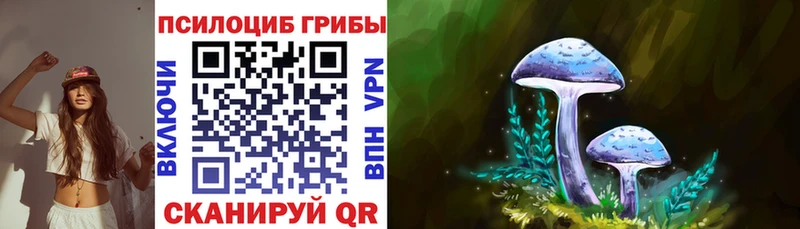 MEGA маркетплейс закладки shop формула Псилоцибиновые грибы Cubensis Добрянка
